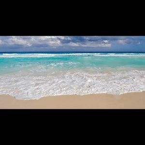 Meet your Posher, Ella